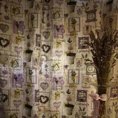 Casa Margot - Chez Margot * 奥梅尼亚